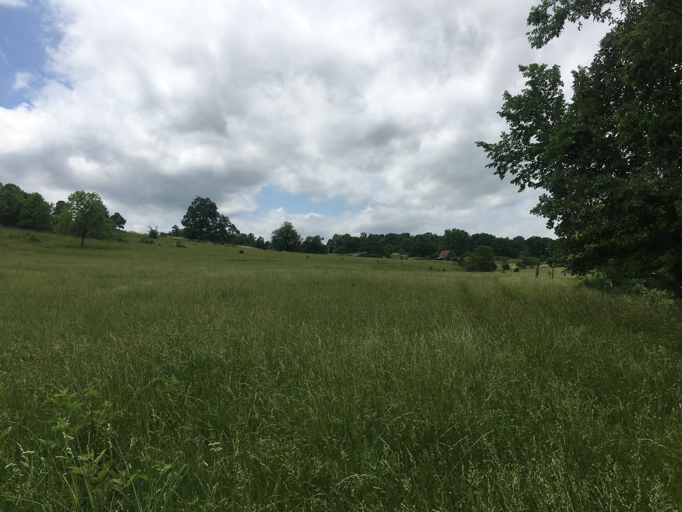 4897 & 4878 Norman Drive, Hartville, MO 65667